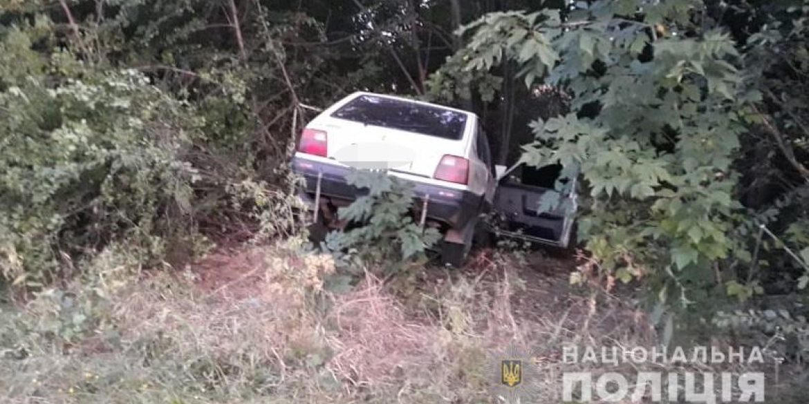 У Жмеринському районі водій загинув після невдалого обгону