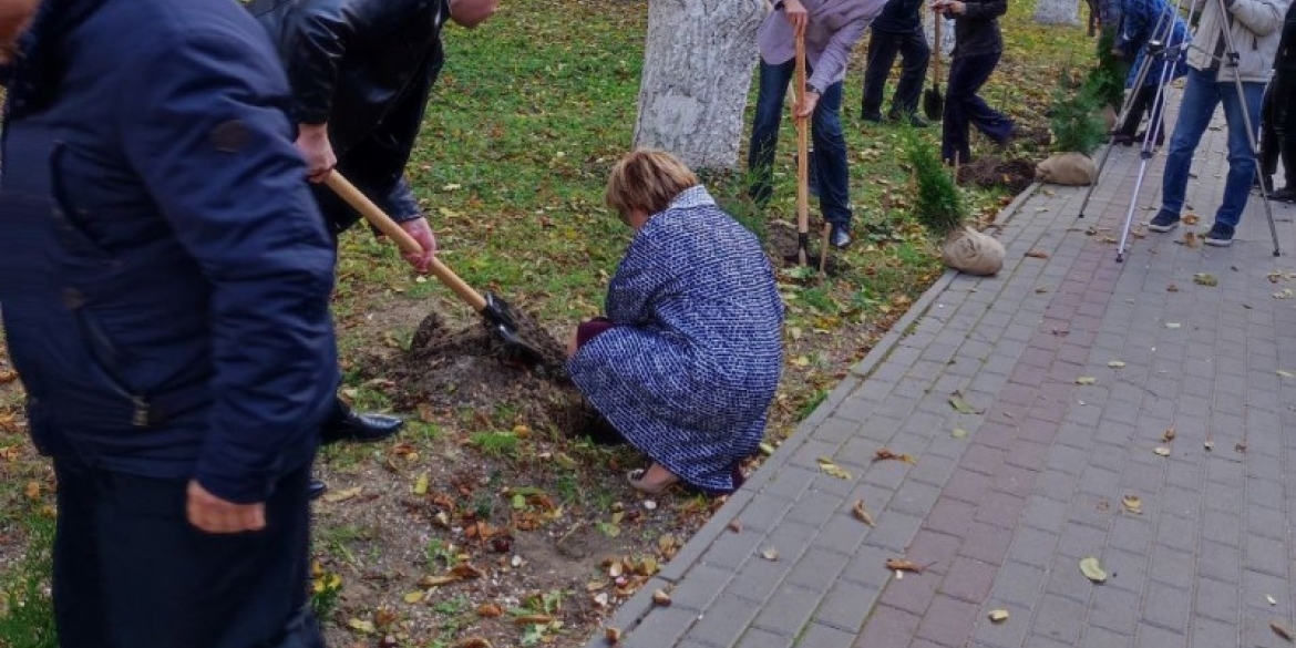 До 100-річчя Вінницького медколеджу висадили 35 дерев