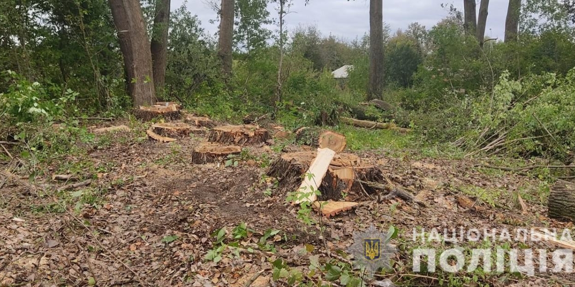 В Тульчинському районі поліцейські припинили незаконну вирубку дерев