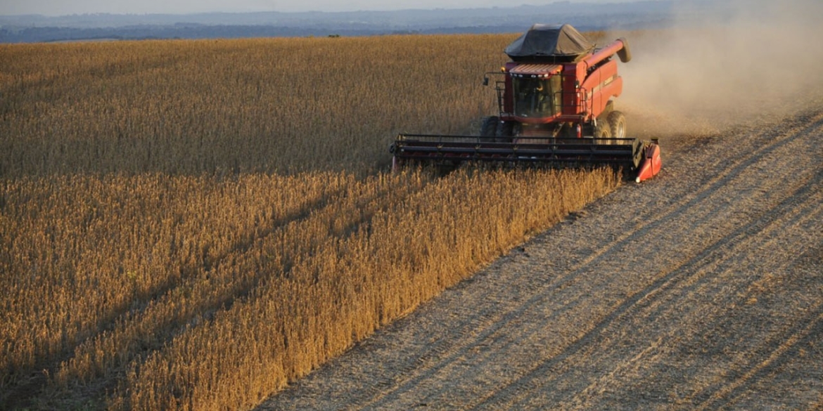 Аграрії Вінниччини вже намолотили 2,7 мільйона тонн зерна