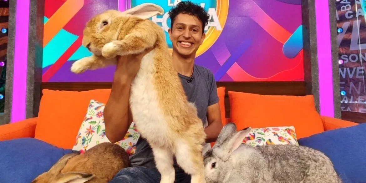 Мексиканський студент з допомогою генної інженерії виростив найбільшого в світі кроля