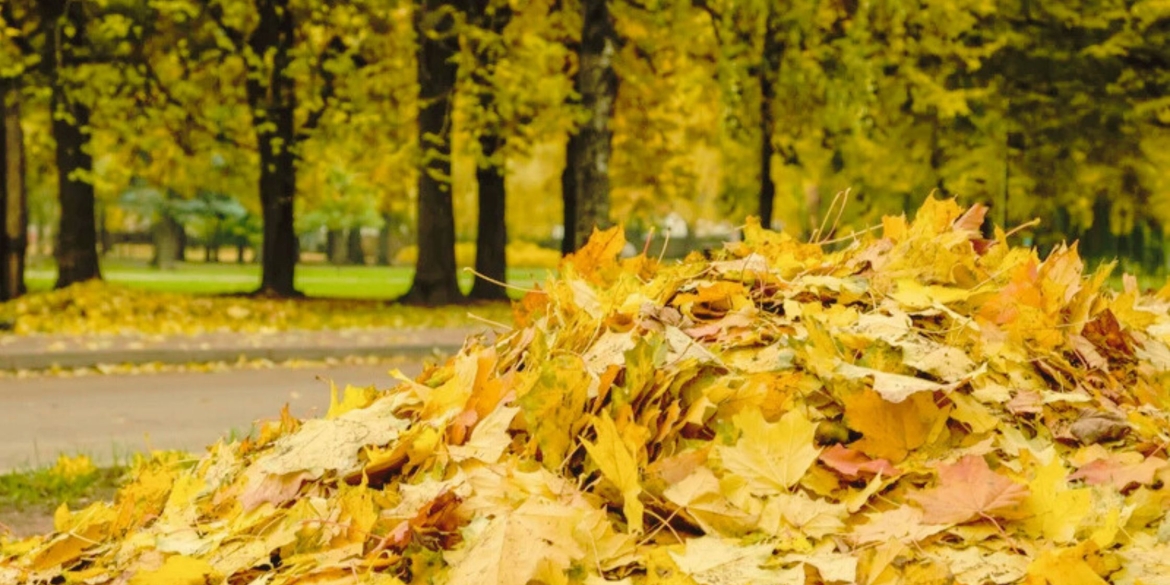 Антициклон принесе у Вінницю 7 листопада потепління та суху погоду