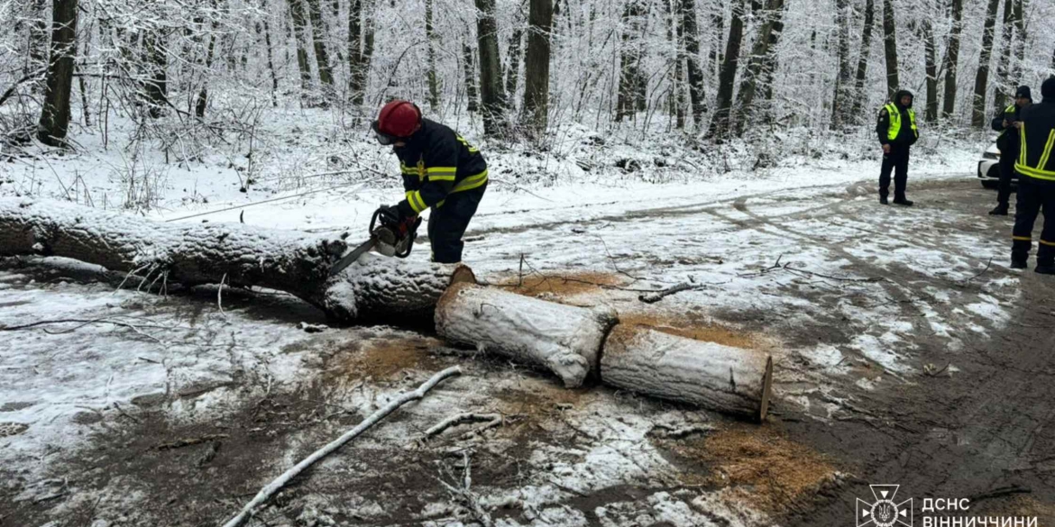 Автошлях у Стрижавській громаді перегородило повалене дерево та стовп