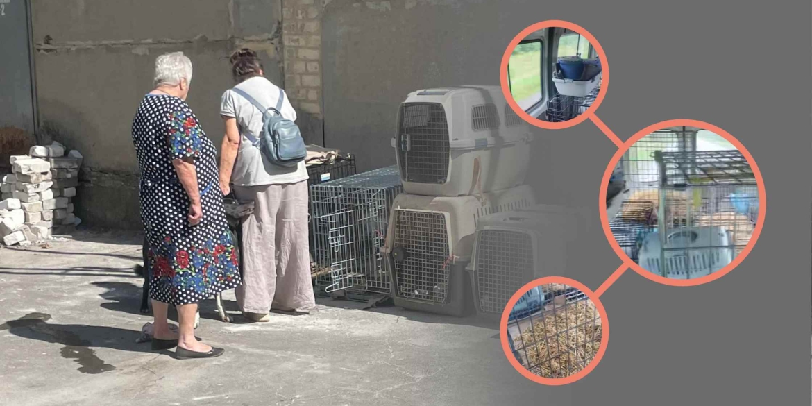 Бабусі-переселенки, яких не прийняло вінницьке село, їдуть на Полтавщину