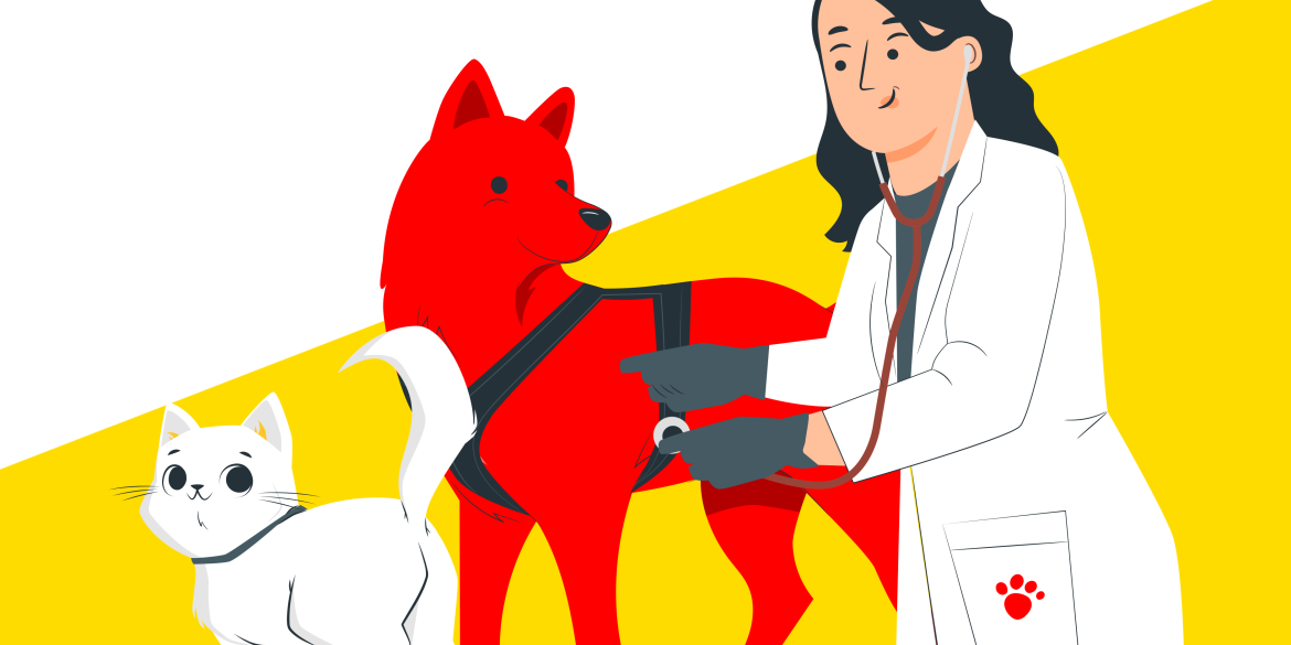 Безкоштовна вакцинація та адопція: як допомагають тваринкам у вінницькому притулку