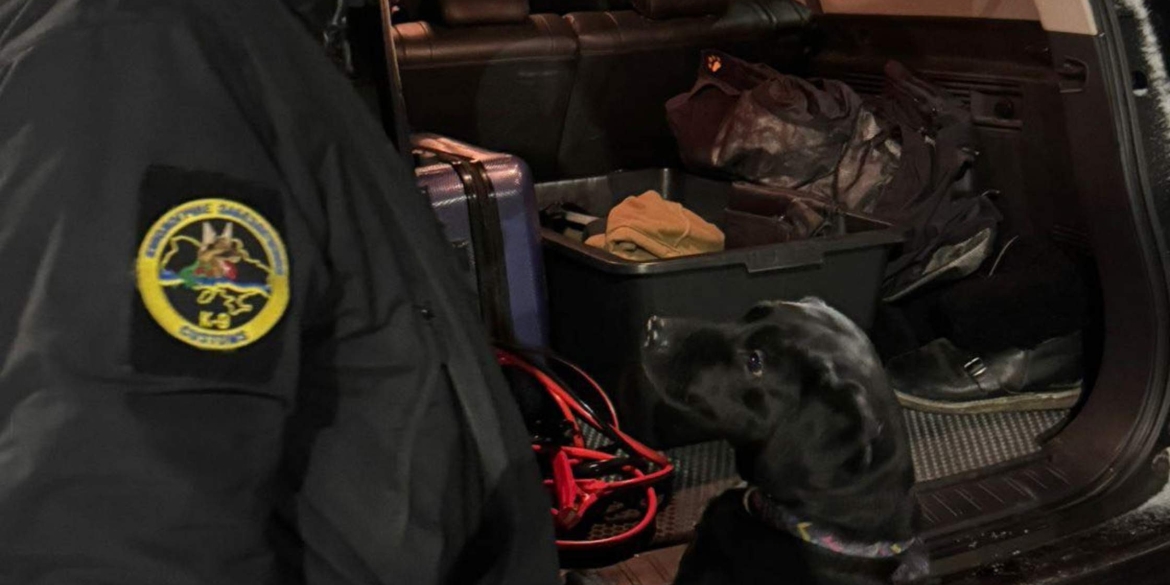 Бойові набої в коробці з-під елітного алкоголю вилучили вінницькі митники