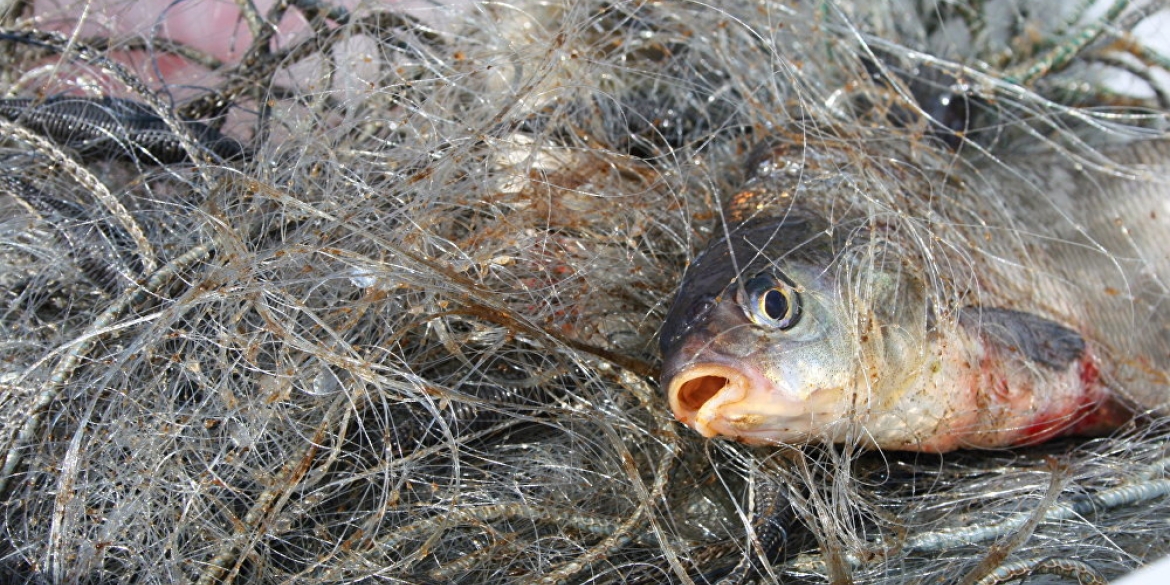 За минулий тиждень рибоохоронний патруль Вінниччини виявив 33 порушення