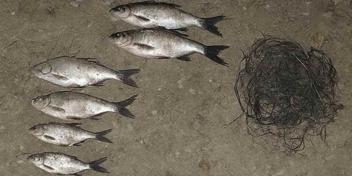 Браконьєр виловив на Вінниччині червонокнижного вирезуба збитки — понад 120 тис. грн