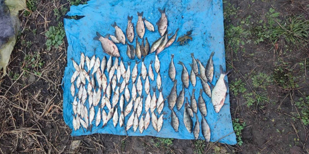 Браконьєри незаконно виловили п’ять кілограмів риби у Хмільницькому районі