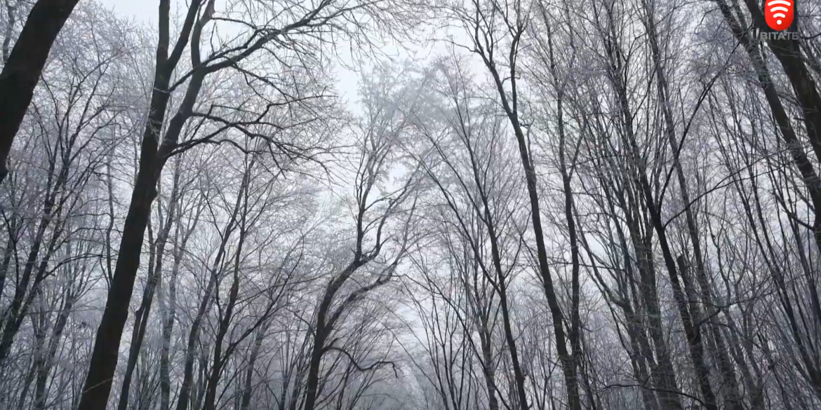 Через аномально теплу зиму в парку «Кармелюкове Поділля» прокинулись борсуки