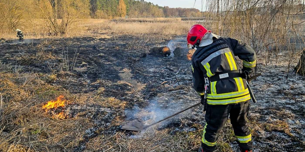 Через людську недбалість горять екосистеми у Вінницькій області