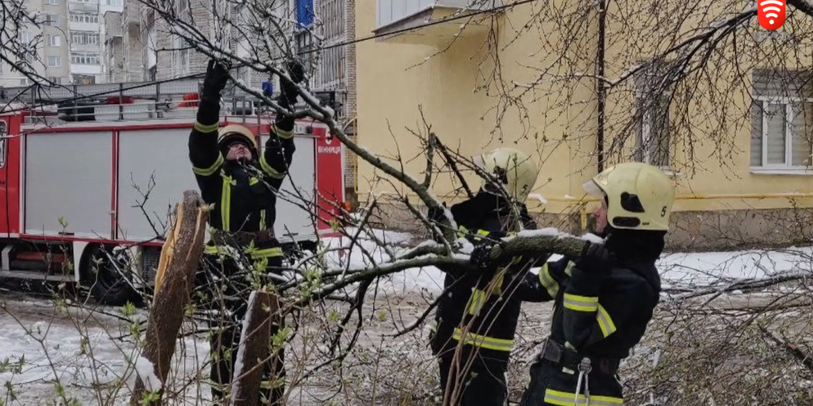 Через негоду і сильний вітер у Вінниці пошкоджені чотири автівки