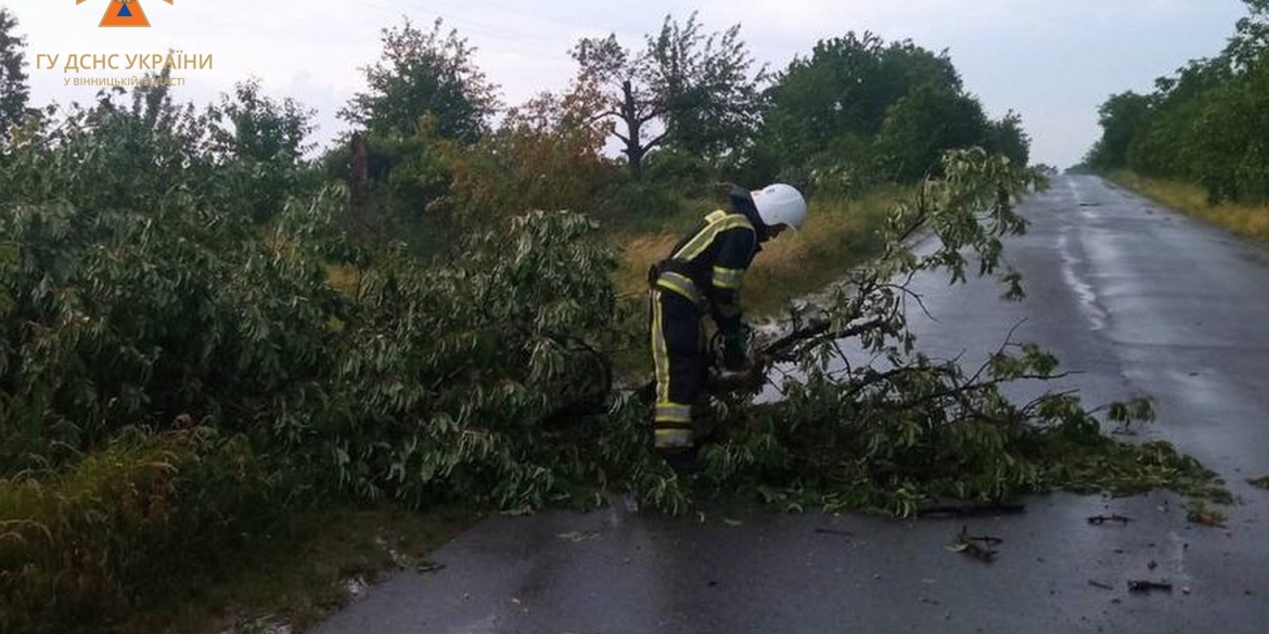 Через негоду на дороги Вінниччини попадали дерева