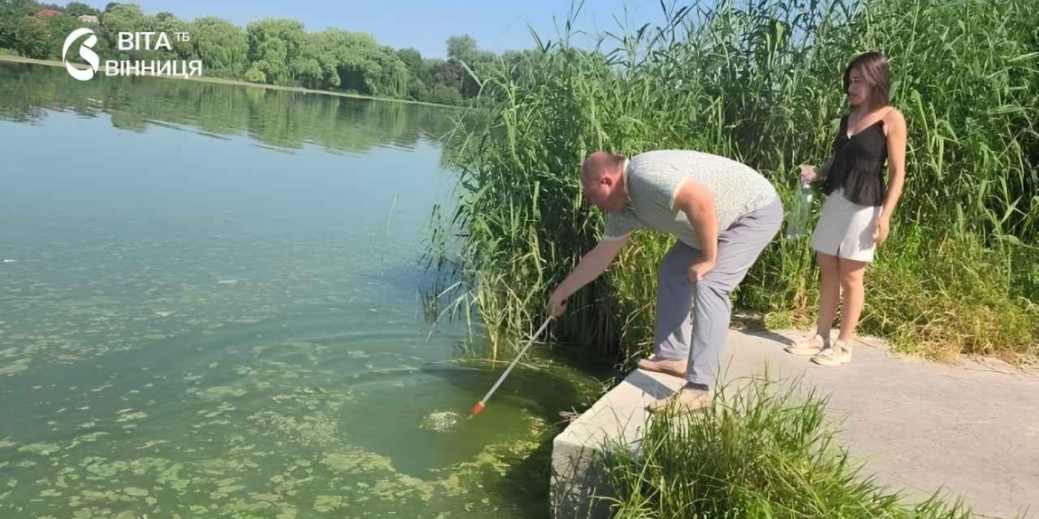 Чому Південний Буг у Вінниці позеленів — пояснили екологи