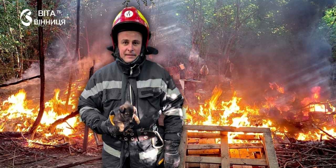 Чотири собаки травмовані, одна загинула у Вінниці горіли укриття, які облаштували для тварин небайдужі містяни