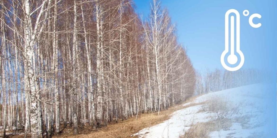 Чи чекати ще на сніг і морози на Вінниччину приходить справжня весна