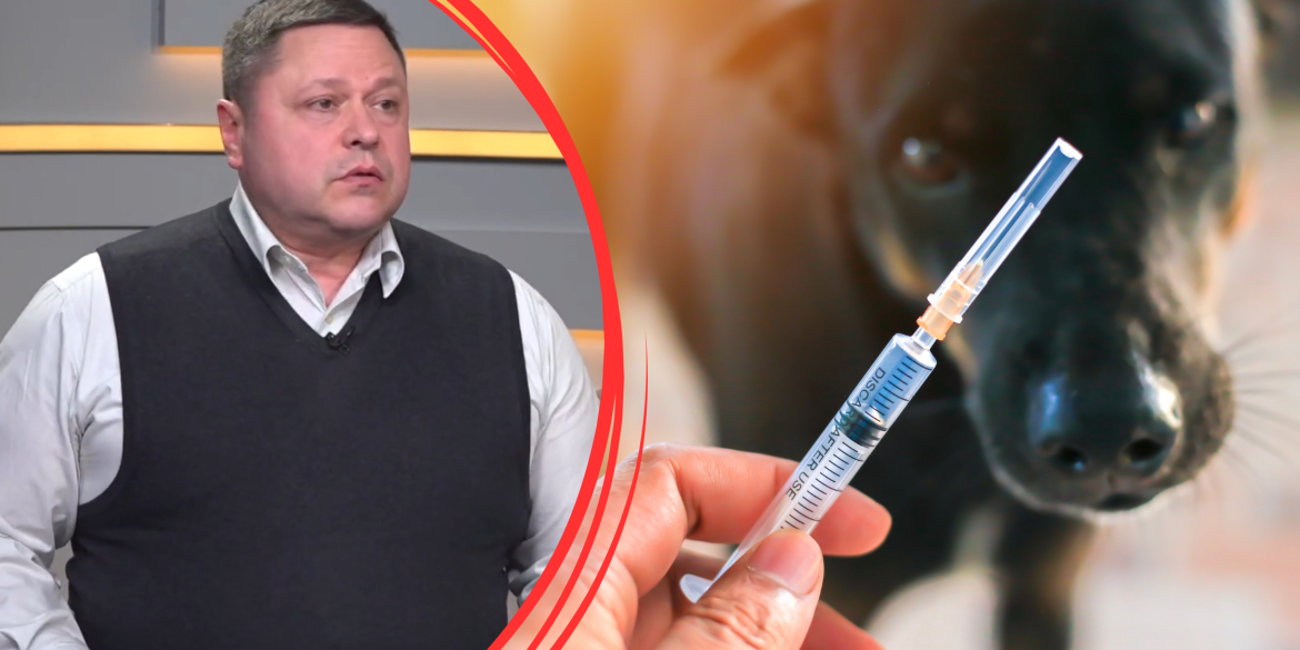 Де існує ризик підхопити смертельний вірус для домашніх тварин та чи дієва вакцина