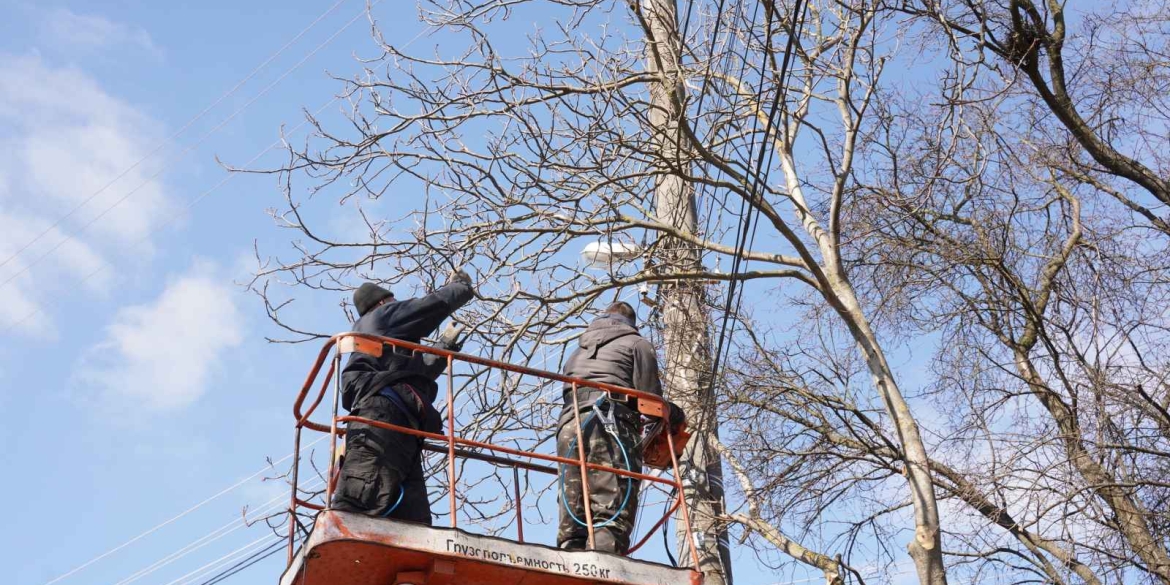 На 30-ти вулицях Вінниці провели весняну обрізку дерев