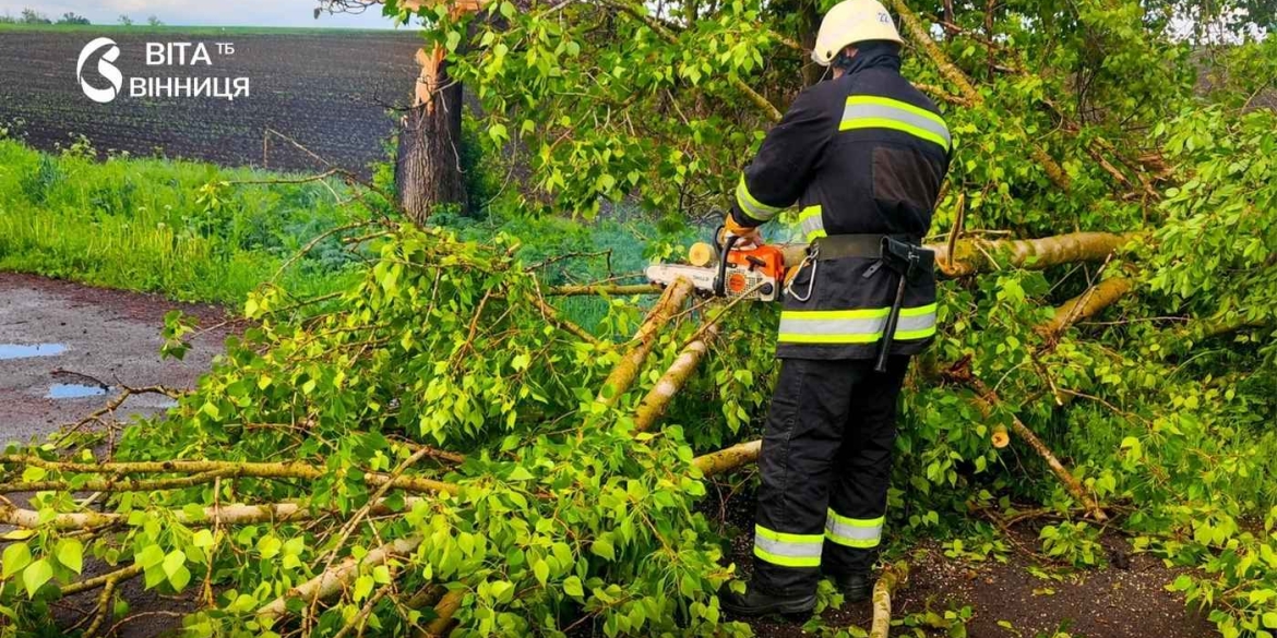 Дерева падали прямо на дорогу наслідки негоди у двох районах Вінницької області