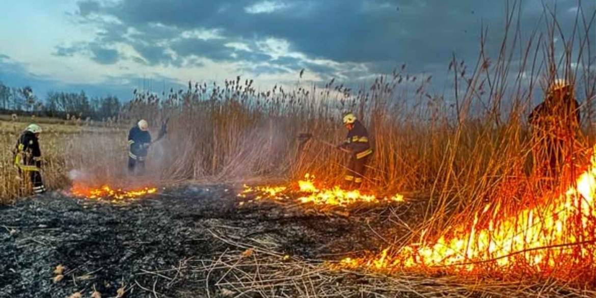 Дев'ять гектарів землі за добу вигоріло у Вінницькій області
