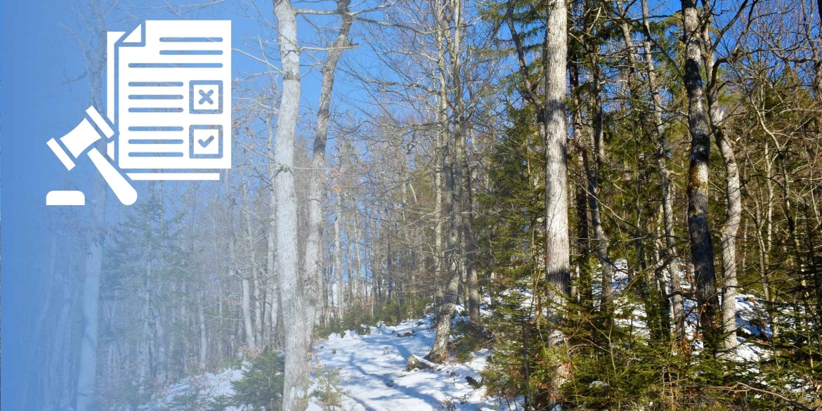 Ділянку лісу у Барській громаді повернуть «Віноблагролісу»