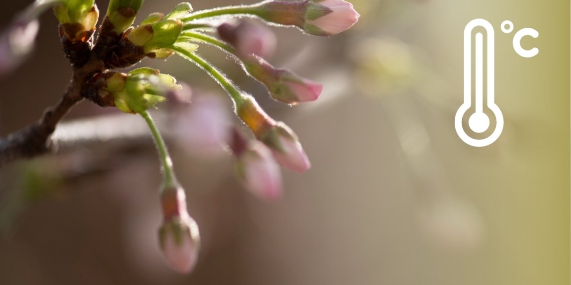 До +18 градусів, але з дощем чого чекати вінничанам від погоди 17 квітня