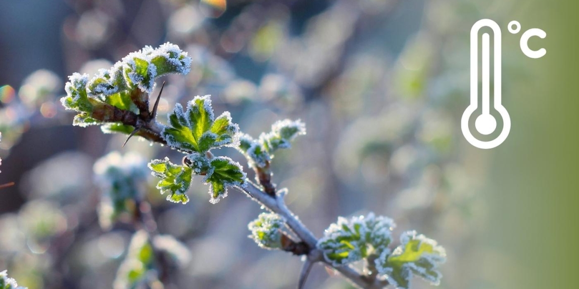 До -5 градусів у повітрі метеорологи застерігають мешканців Вінницької області