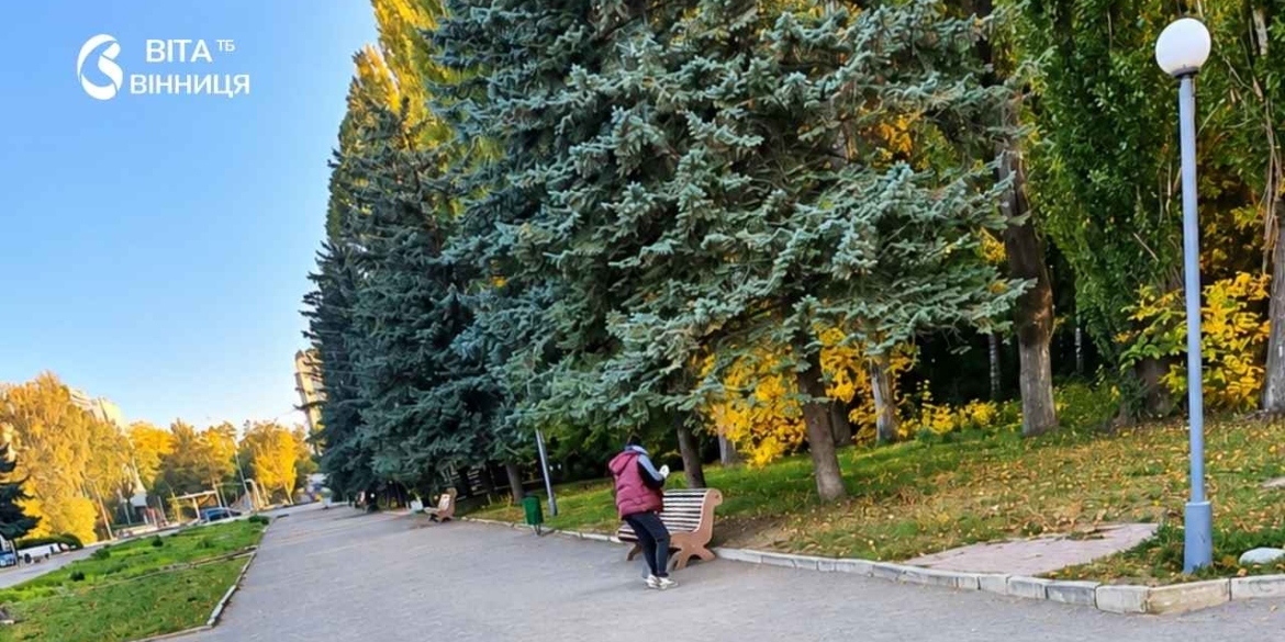 До чотирьох кубометрів сміття за день скільки прибирають у Вишенському парку в теплу пору