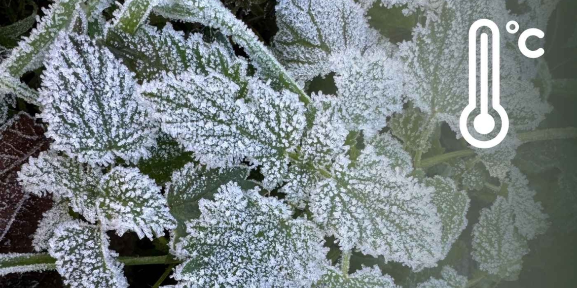 До тепла ще не близько на Вінниччину насувається сильний вітер та аномальне нічне похолодання