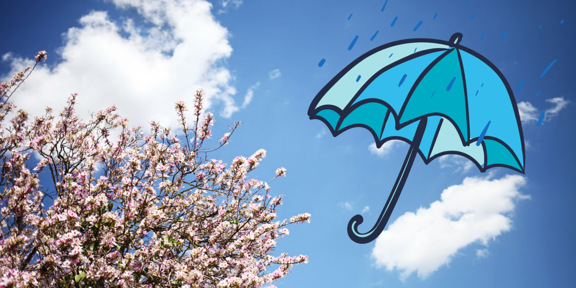 Дощі у Вінниці триватимуть весь тиждень - прогноз погоди на 18 квітня