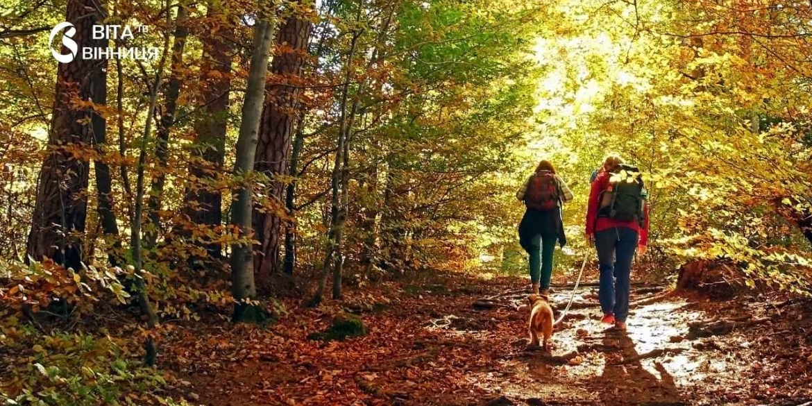 Дощ у четвер і сухі вихідні погода у Вінниці до 2 листопада