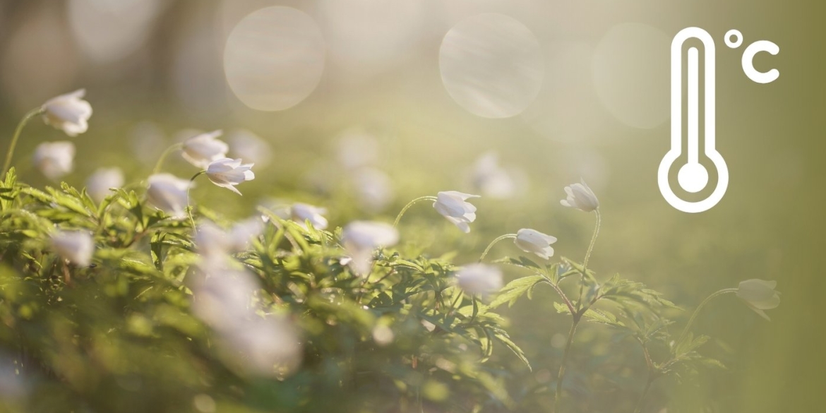 Дощі та нічний мінус ще затримаються у Вінниці на кілька днів