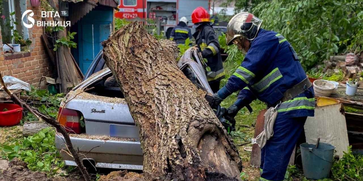 Двічі у Вінниці дерева падали на автомобілі — обійшлося без постраждалих