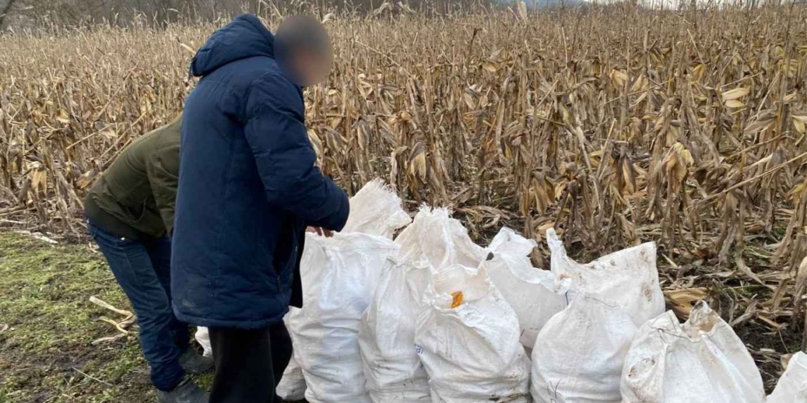 Директор будинку-інтернату на Вінниччині змушував підопічних працювати на приватних ділянках