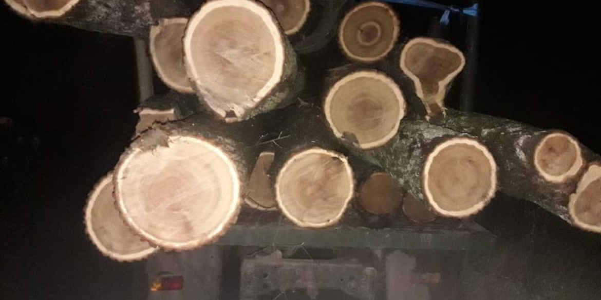 На Вінниччині копи зупинили вантажівку, повну деревини: звідки дуби, водій не пояснив
