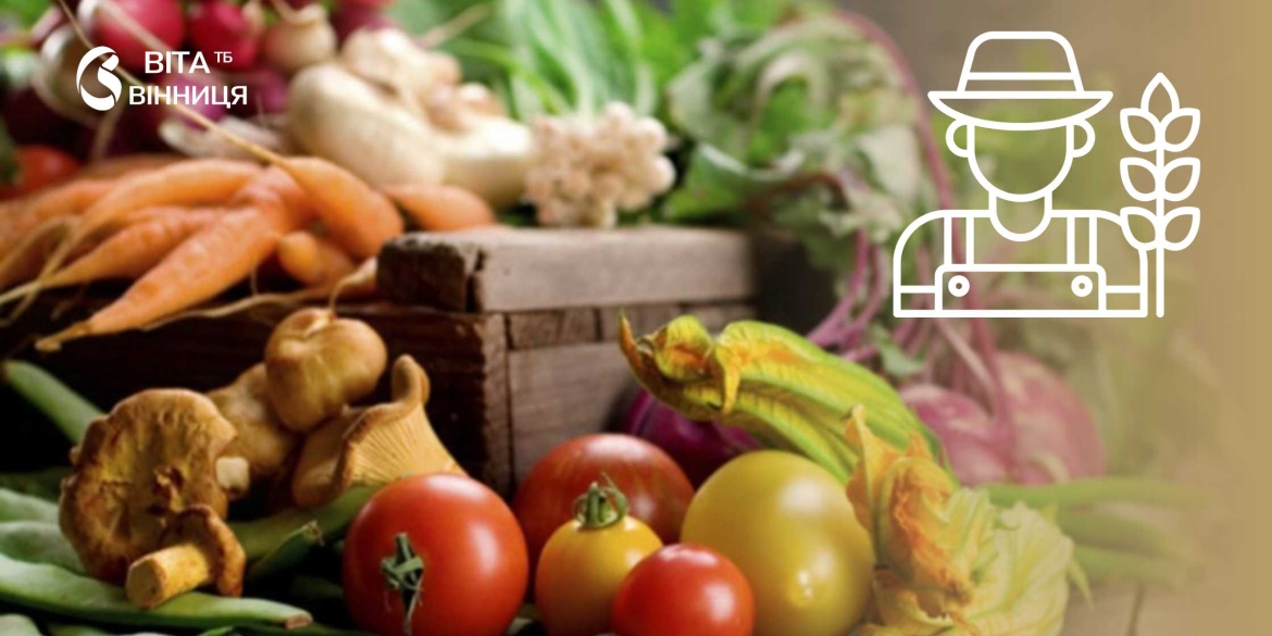 Фермерська продукція, крафтові сири й мед у Вінниці проведуть сільськогосподарський ярмарок
