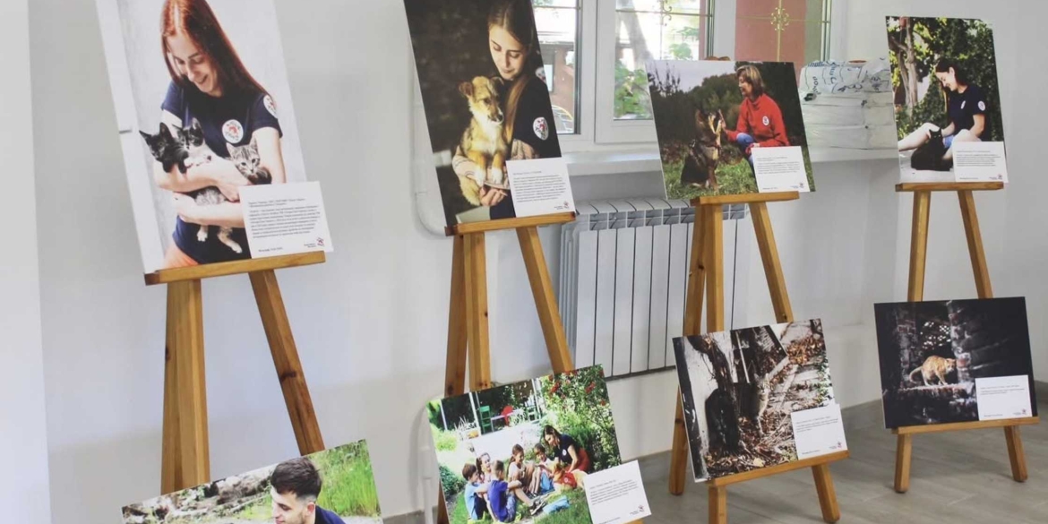 Фотовиставку про роботу зоозахисників під час війни презентують у Вінниці