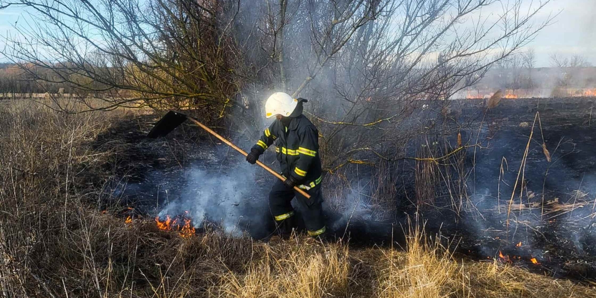 Горіли екосистеми у трьох районах Вінницької області