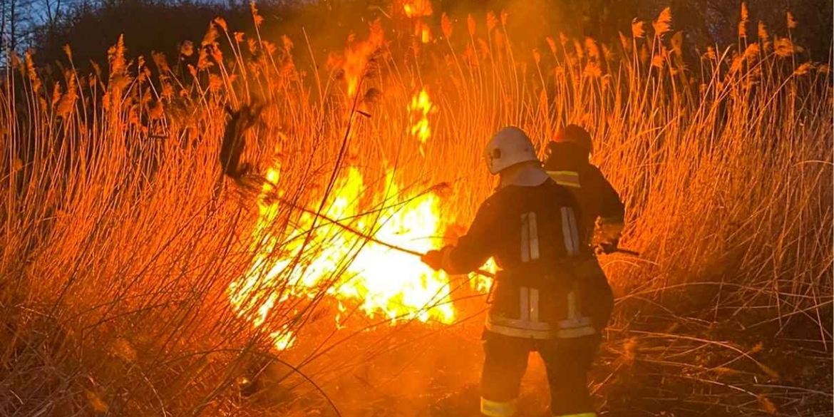 Гріли каченят і мало не спалили дім вогняна доба на Вінниччині — сім нічних виїздів