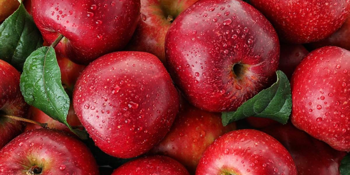 Дешевих яблук цього року не буде - кажуть вінницькі експерти 