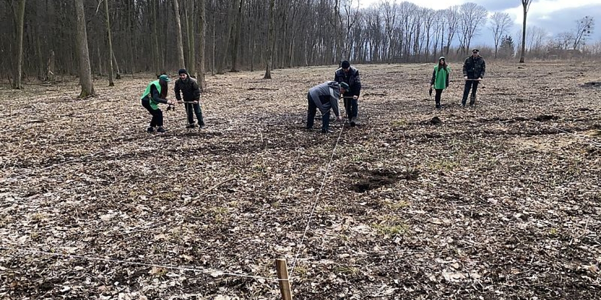 Крижопільські лісівники завершують садити ліс