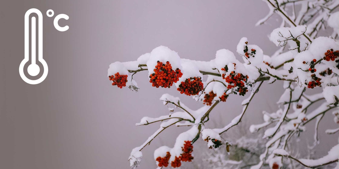 Хмарна та волога погода очікує вінничан 14 грудня – попереджають синоптики