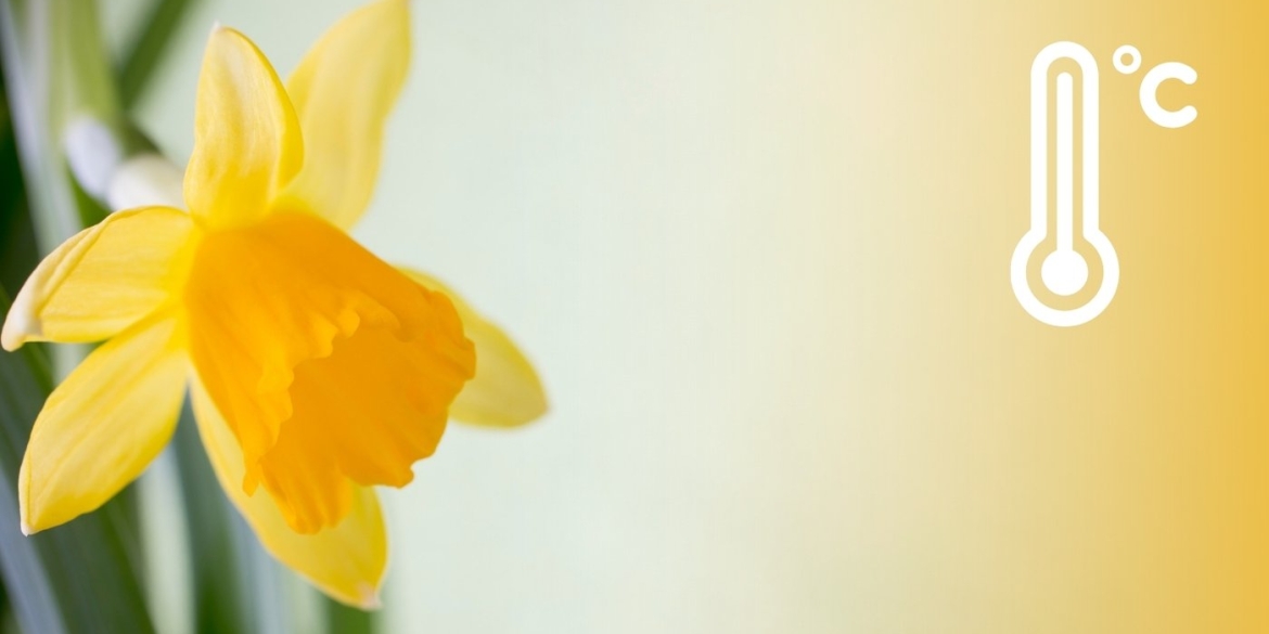 Коли відступлять нічні морози прогноз погоди на найближчі п'ять днів для вінничан