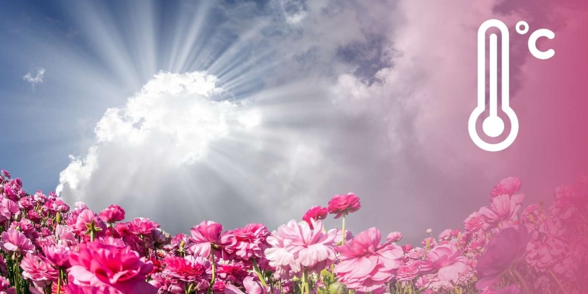 Коли вінничани відчують перші ознаки стабільного весняного тепла, що кажуть синоптики