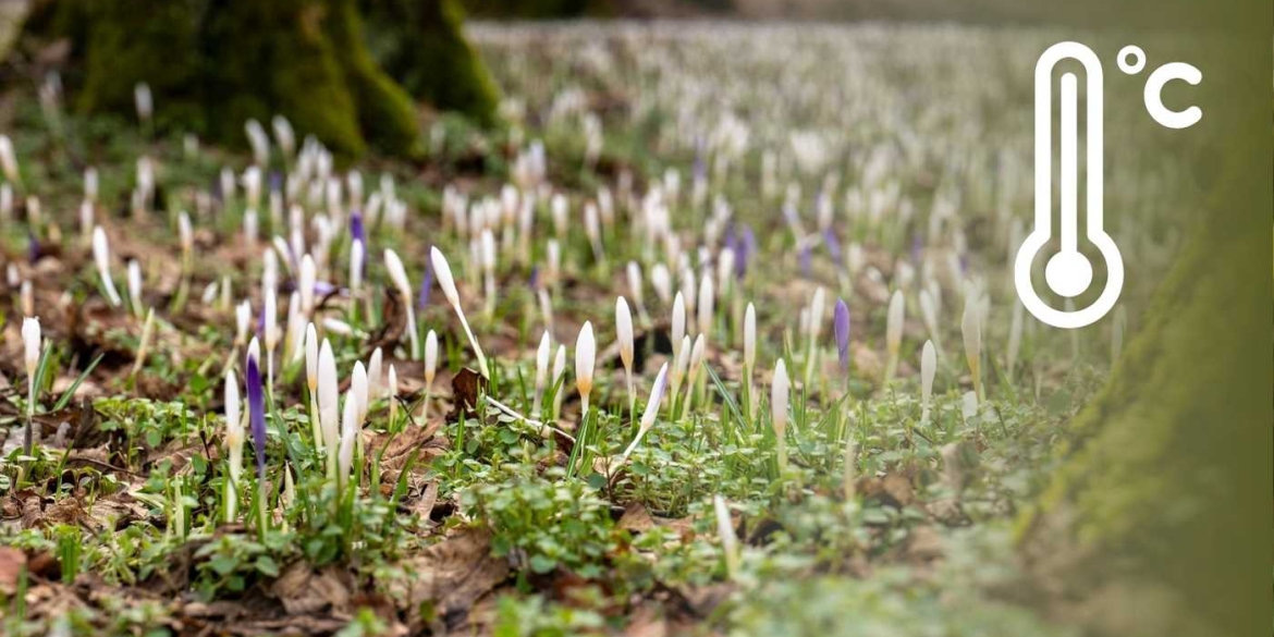Коли ж повернеться тепла погода синоптики подарували вінничанам надію
