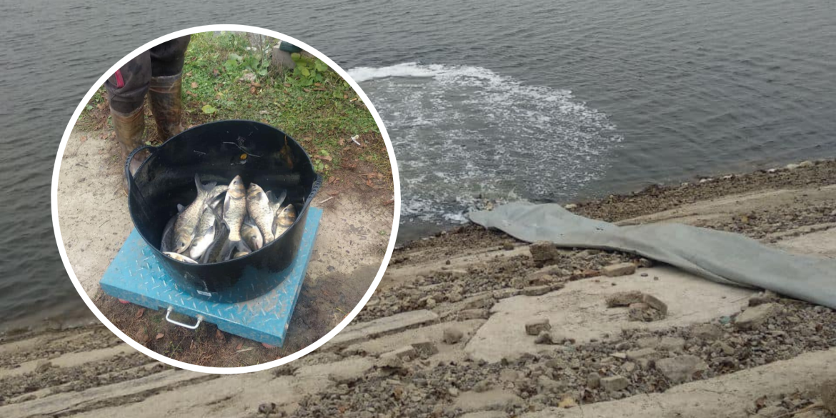 Короп, амур, товстолоб: у Кирнасівське водосховище випустили шість тонн риби