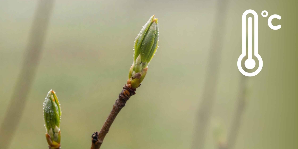 Короткочасний дощ у Вінниці як довго протримається така погода