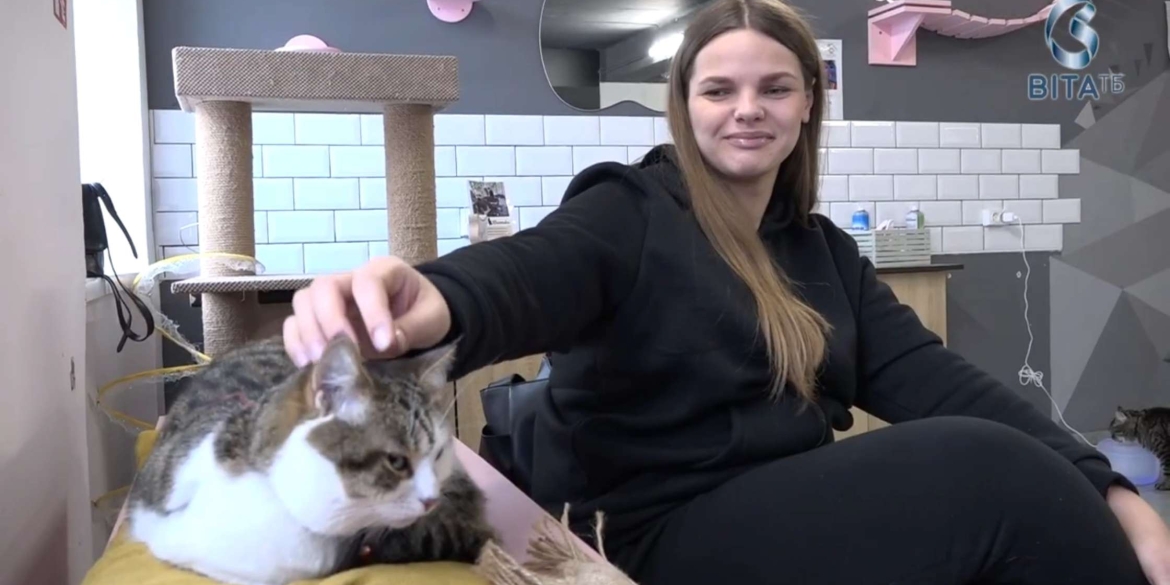 Котокафе у Вінниці у центрі міста працює унікальний простір з пухнастиками