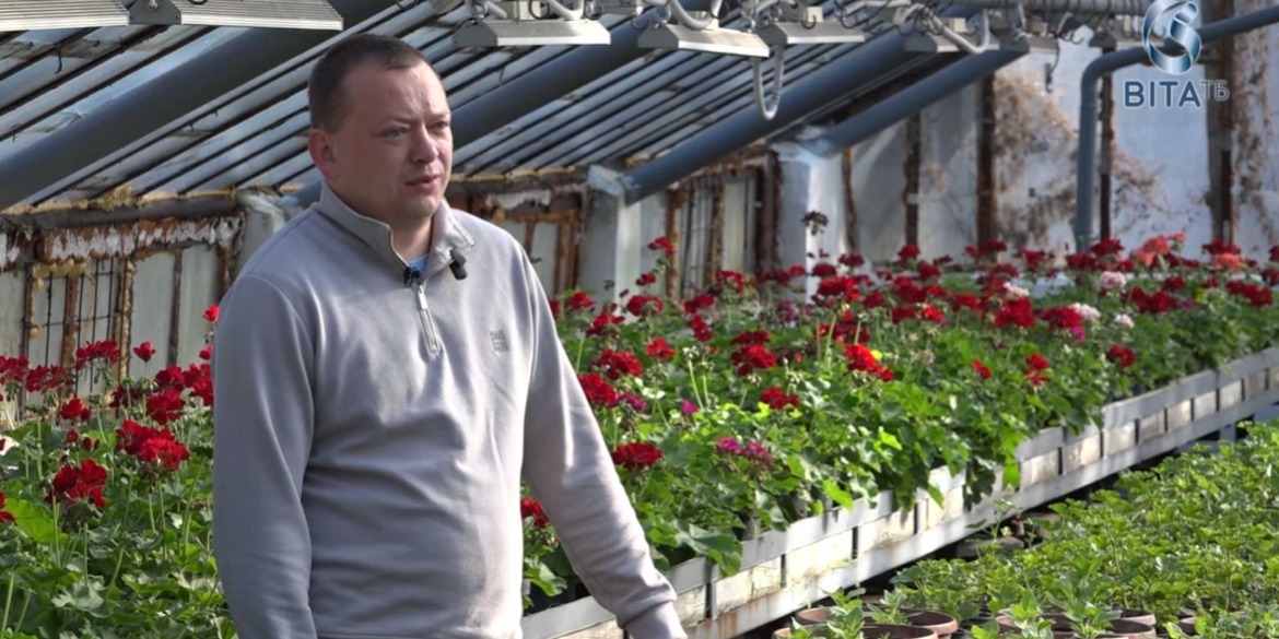 Квіти для Вінниці як у теплицях вирощують тисячі рослин для озеленення міста