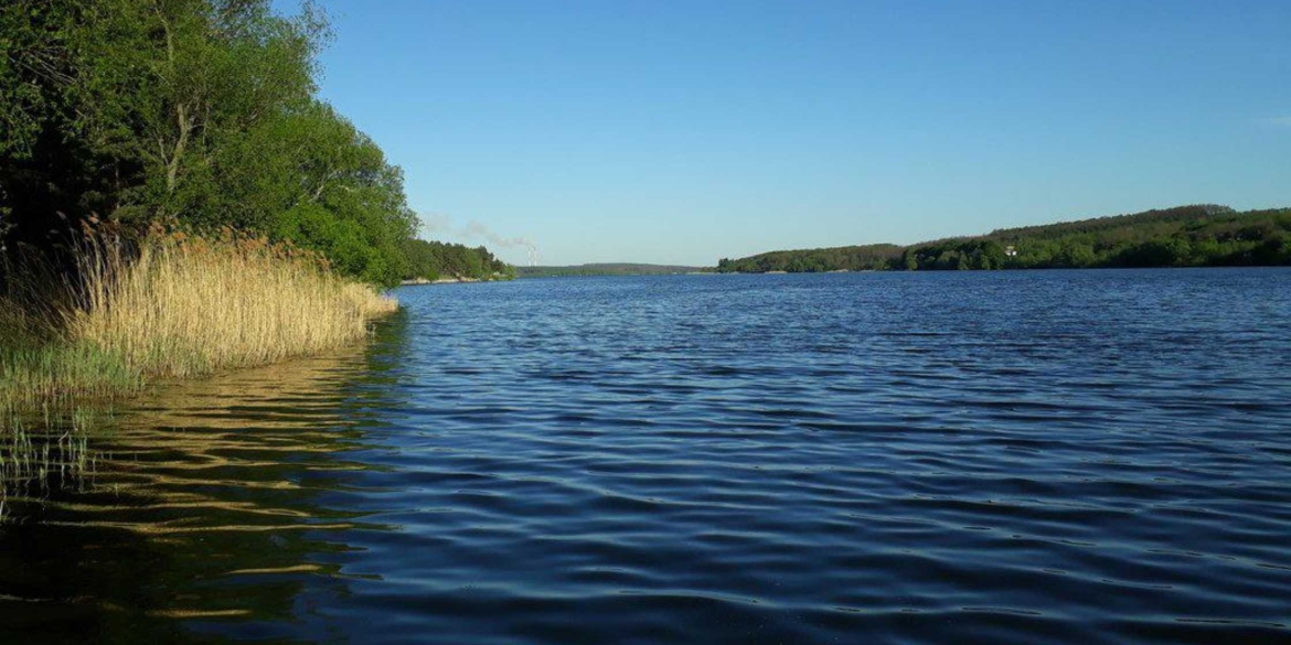 Ладижинській громаді повернули землі водного фонду площею понад 155 га Ладижинській громаді повернули землі водного фонду площею понад 155 га